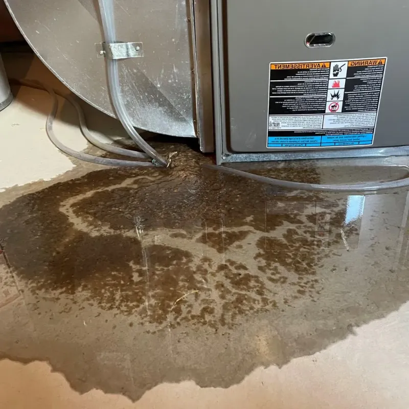 Pipe Burst and Leak Restoration in Suffern, NY